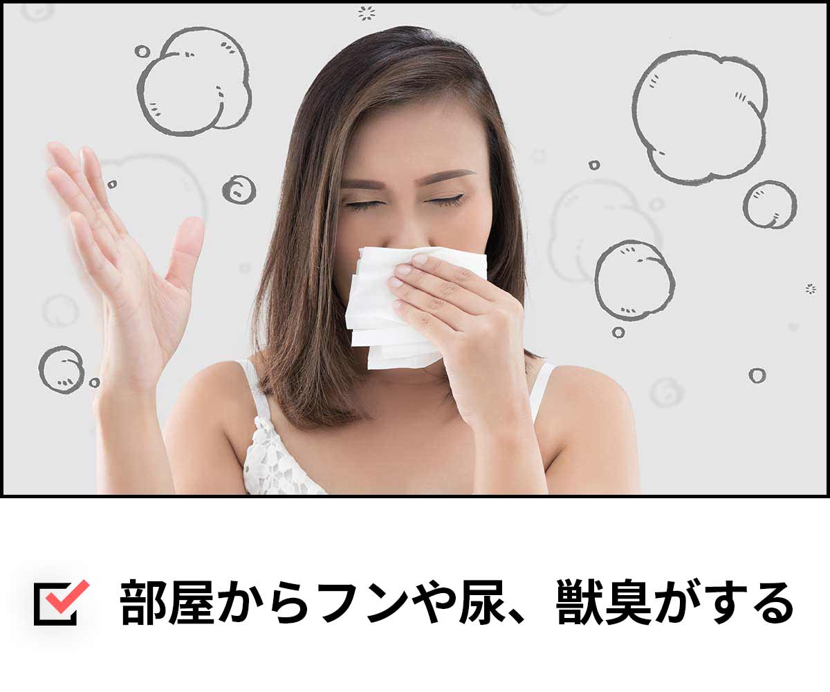 部屋の中からフンや尿、獣臭がしている